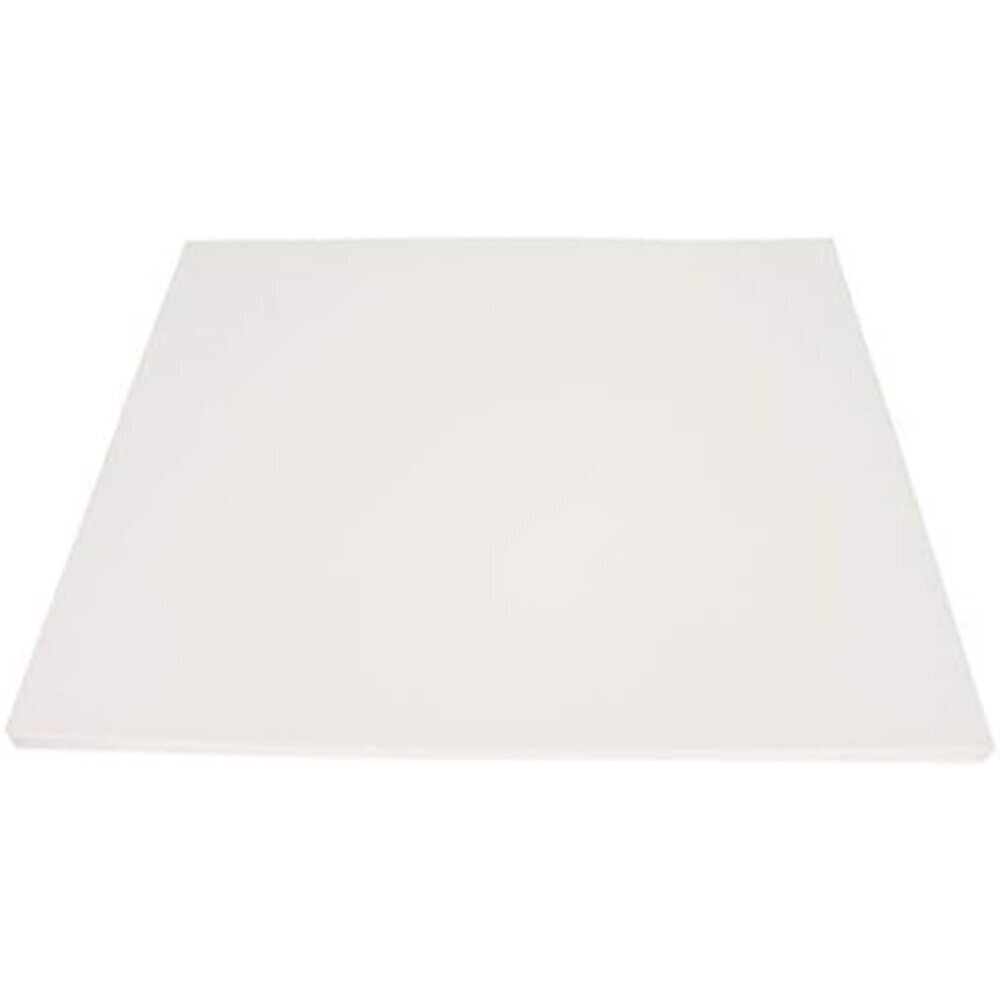 Railroad Poster Board Paper, 22 x 28 Inches, 6-Ply, White, Pack of 25